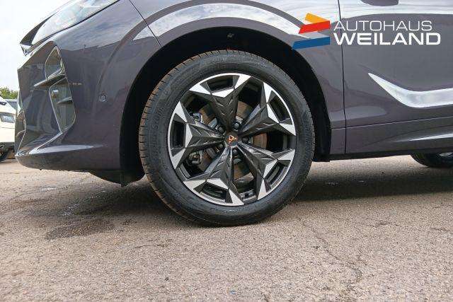 Fahrzeugbild eines CUPRA Terramar