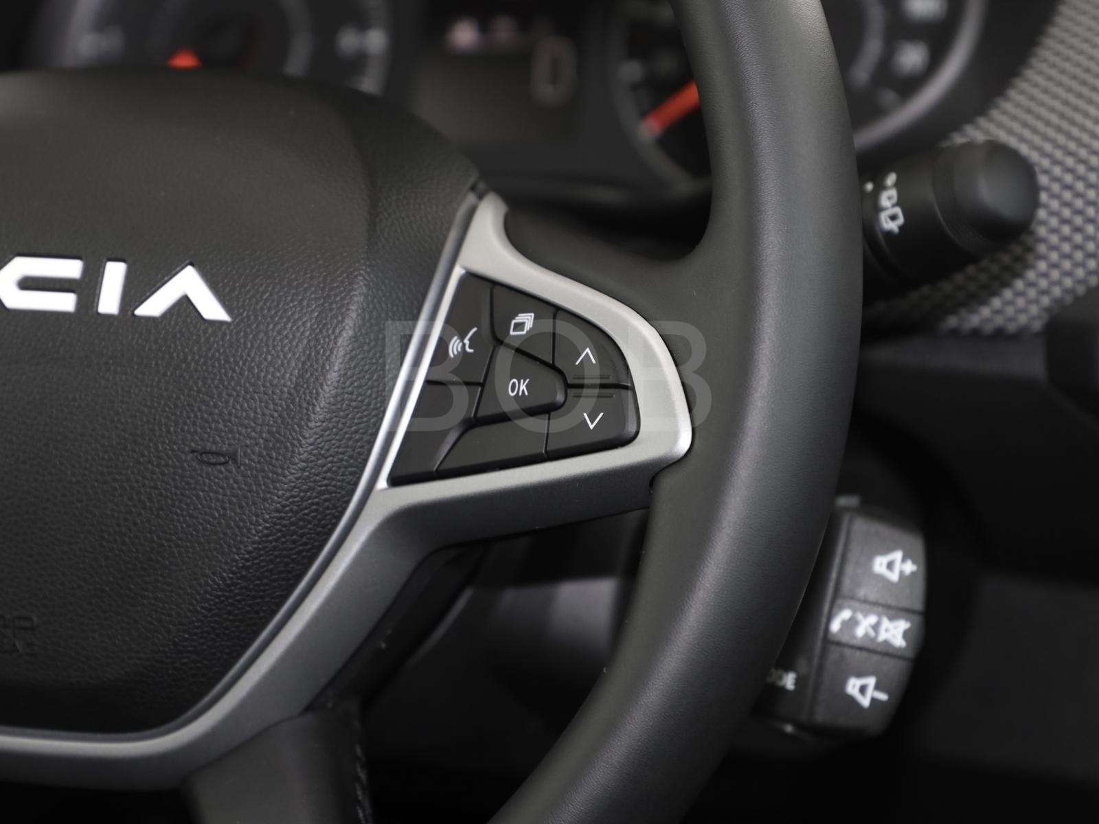 Fahrzeugbild eines Dacia Sandero