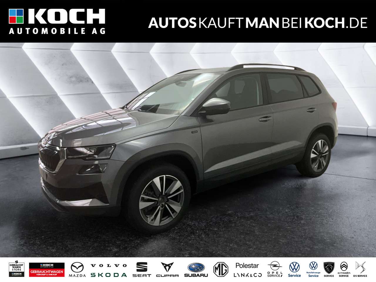 Fahrzeugbild eines Skoda Karoq