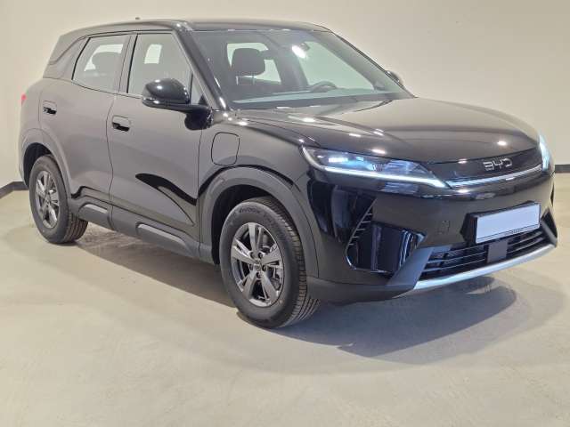 Fahrzeugbild eines BYD Atto 2