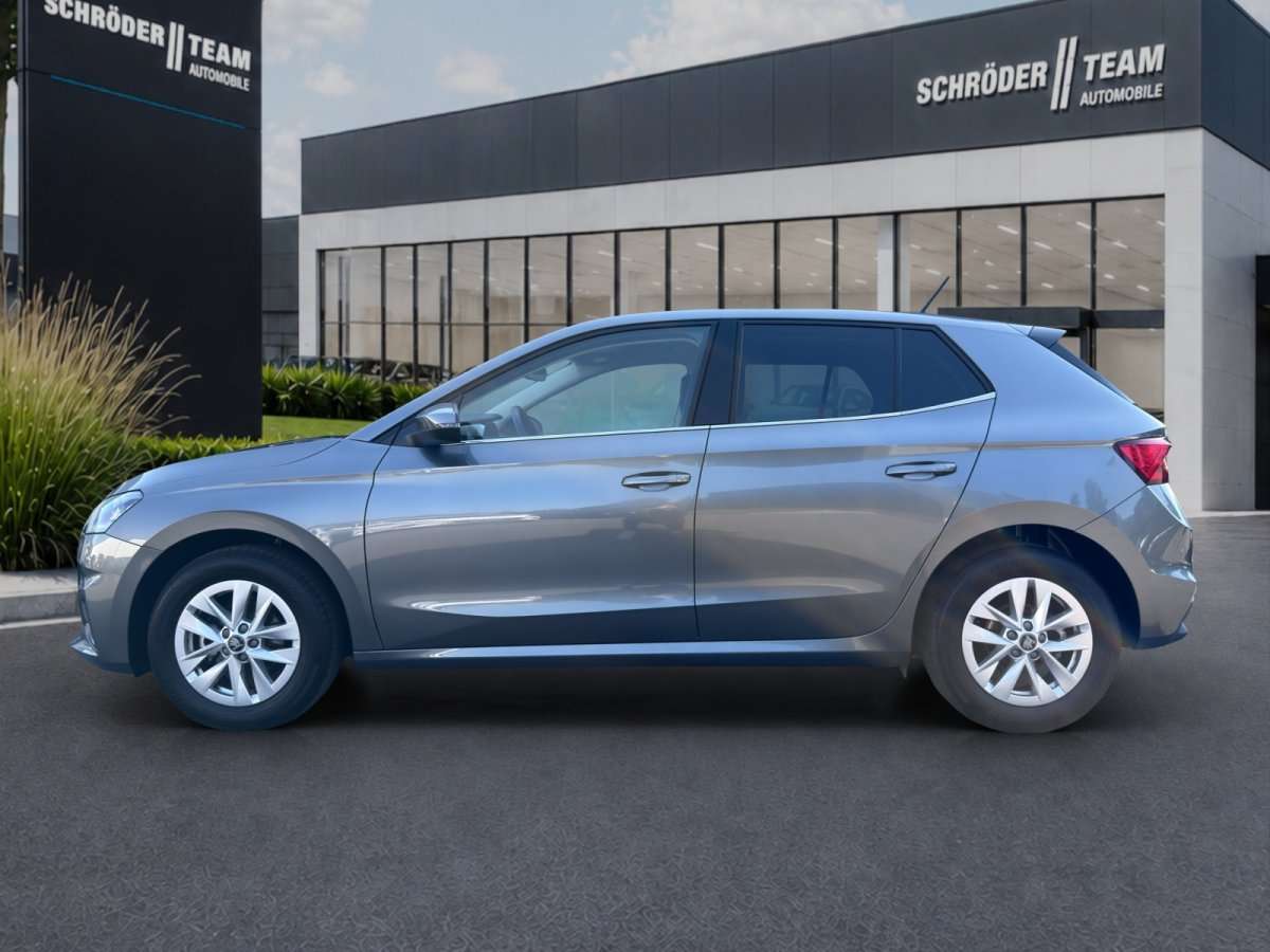 Fahrzeugbild eines Skoda Fabia