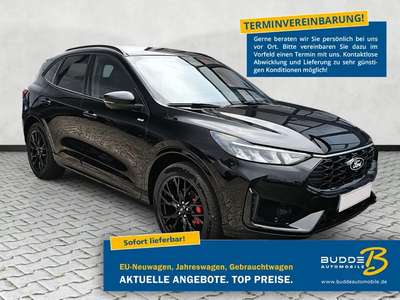 Bild Ford Kuga
