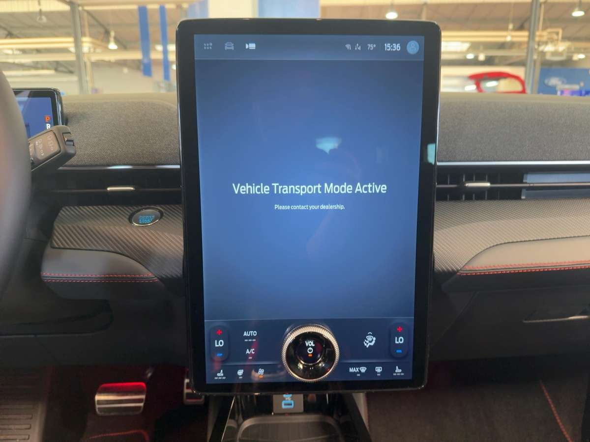 Fahrzeugbild eines Ford Mustang Mach-E