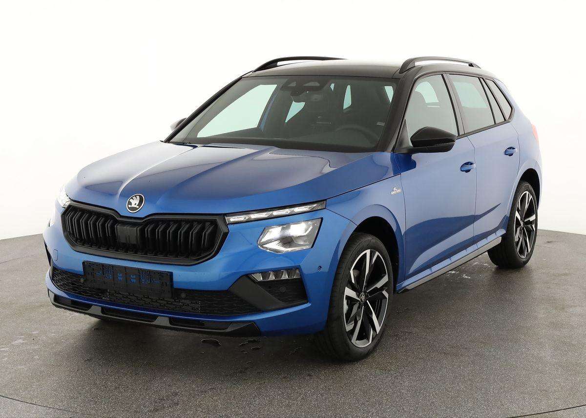 Fahrzeugbild eines Skoda Kamiq