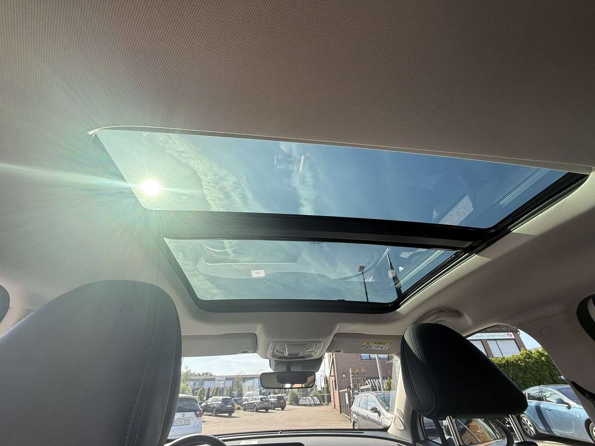 Fahrzeugbild eines GWM Ora 03