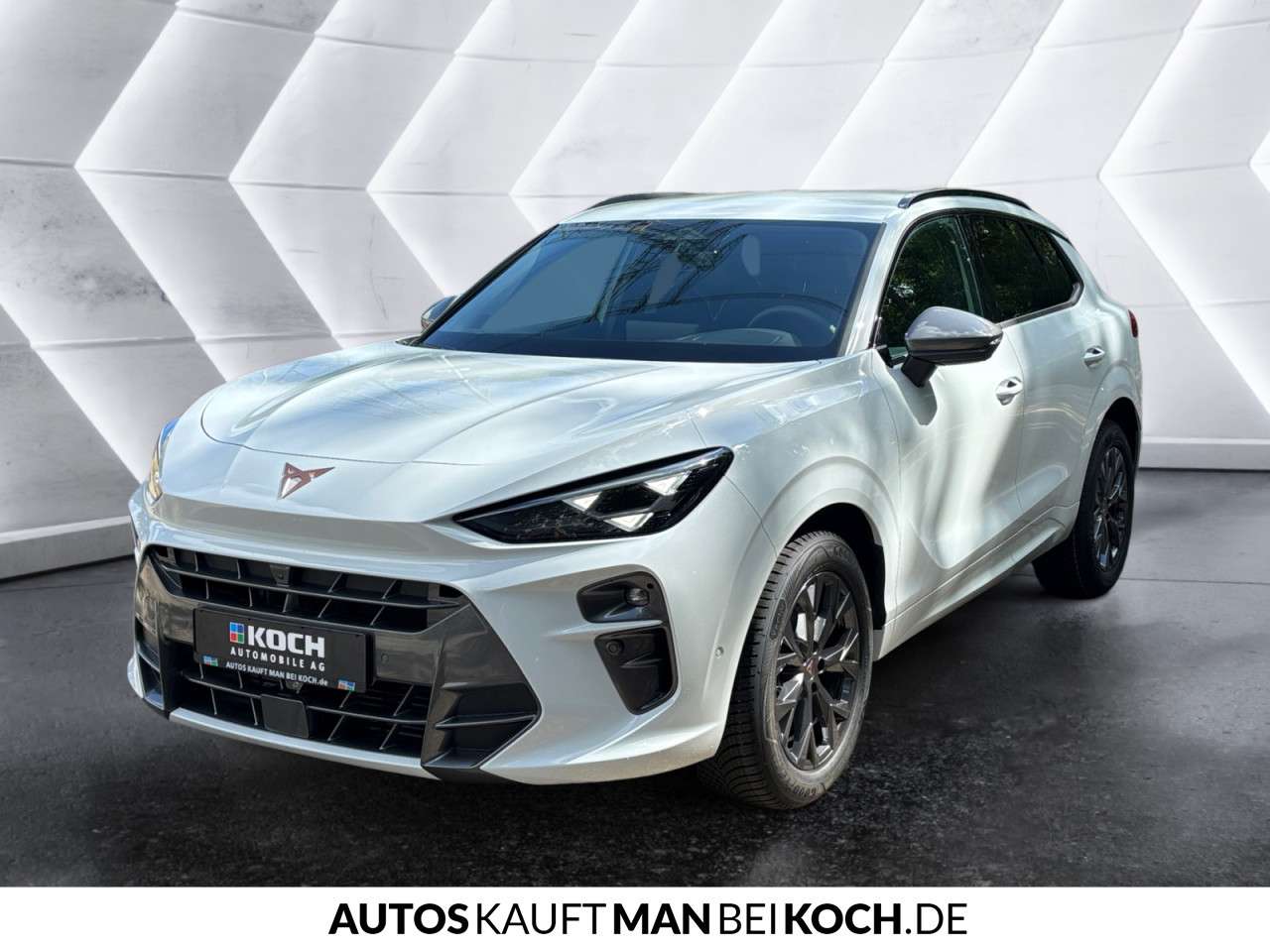 Fahrzeugbild eines CUPRA Terramar