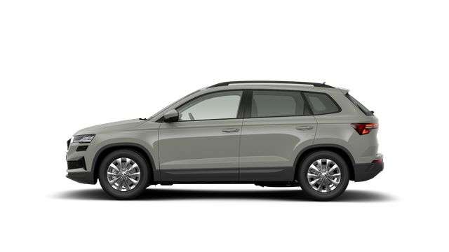 Fahrzeugbild eines Skoda Karoq