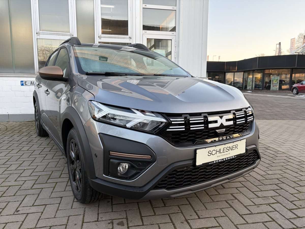 Fahrzeugbild eines Dacia Sandero