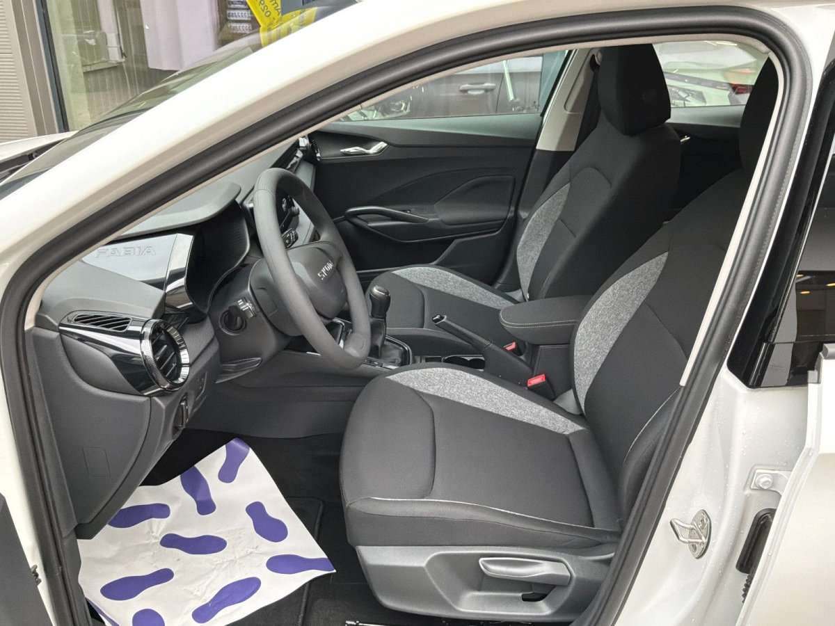 Fahrzeugbild eines Skoda Fabia