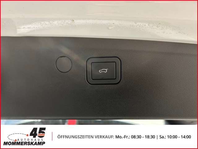 Fahrzeugbild eines GWM Wey 03