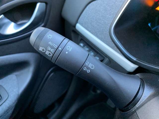 Fahrzeugbild eines Renault ZOE