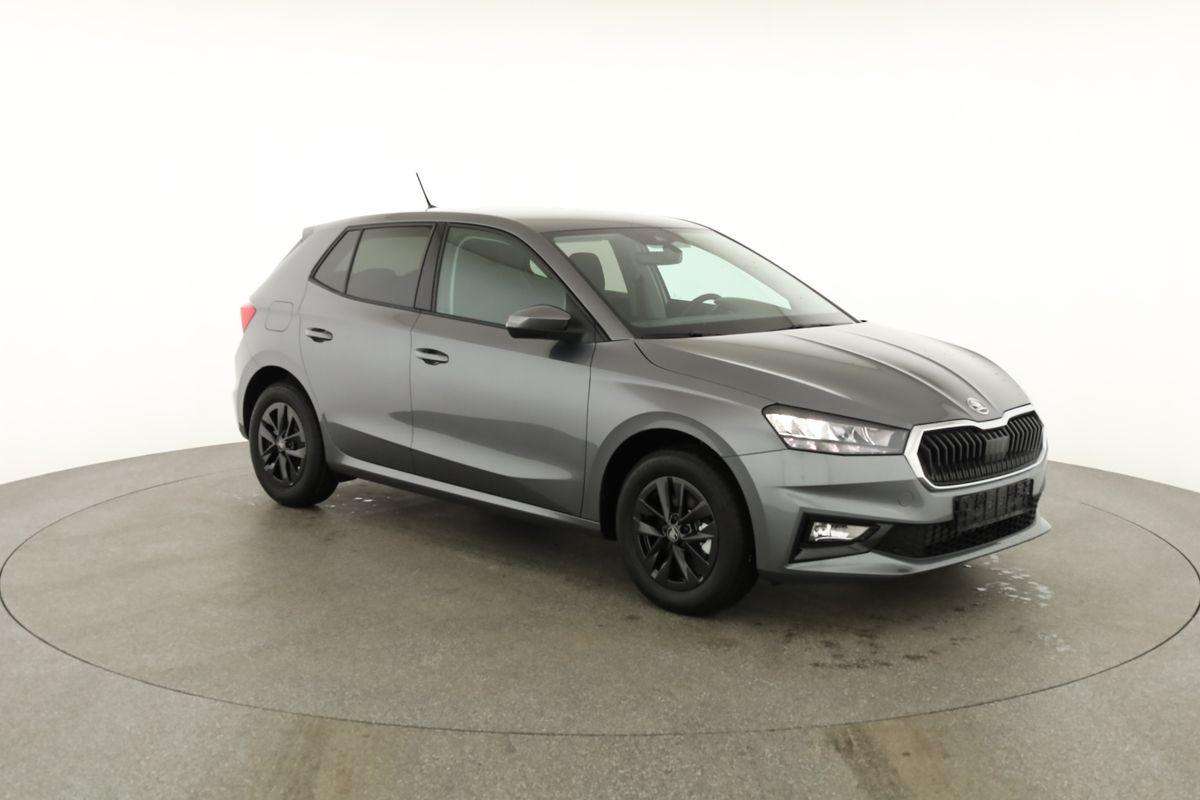 Fahrzeugbild eines Skoda Fabia