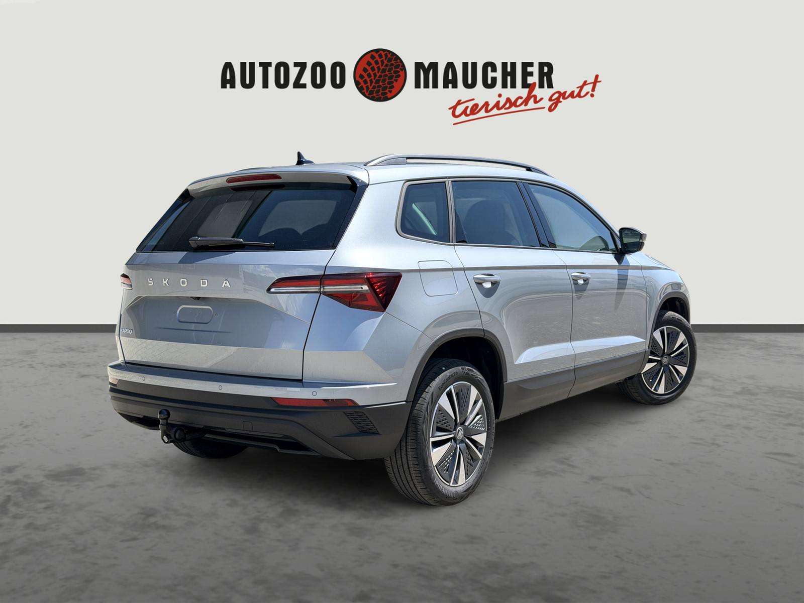 Fahrzeugbild eines Skoda Karoq