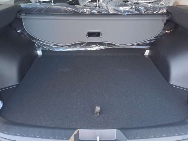 Fahrzeugbild eines GWM Haval H6