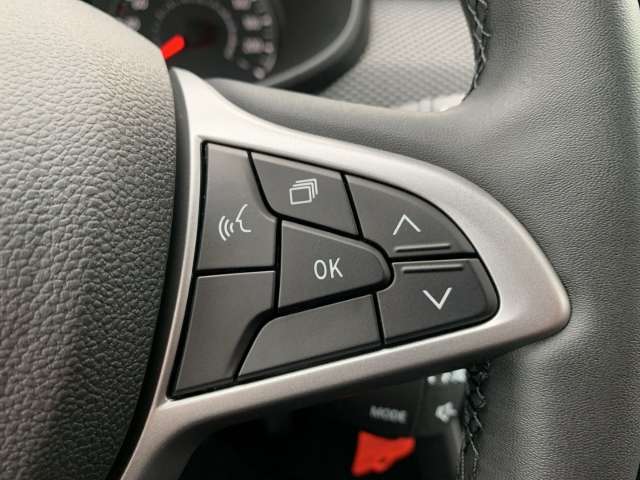 Fahrzeugbild eines Dacia Jogger