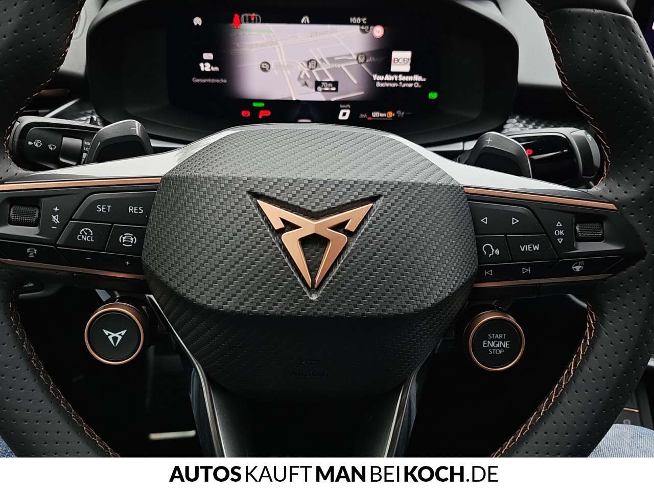 Fahrzeugbild eines CUPRA Terramar