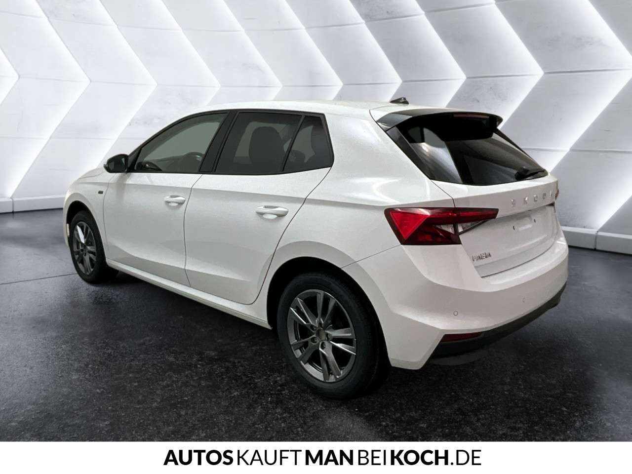 Fahrzeugbild eines Skoda Fabia