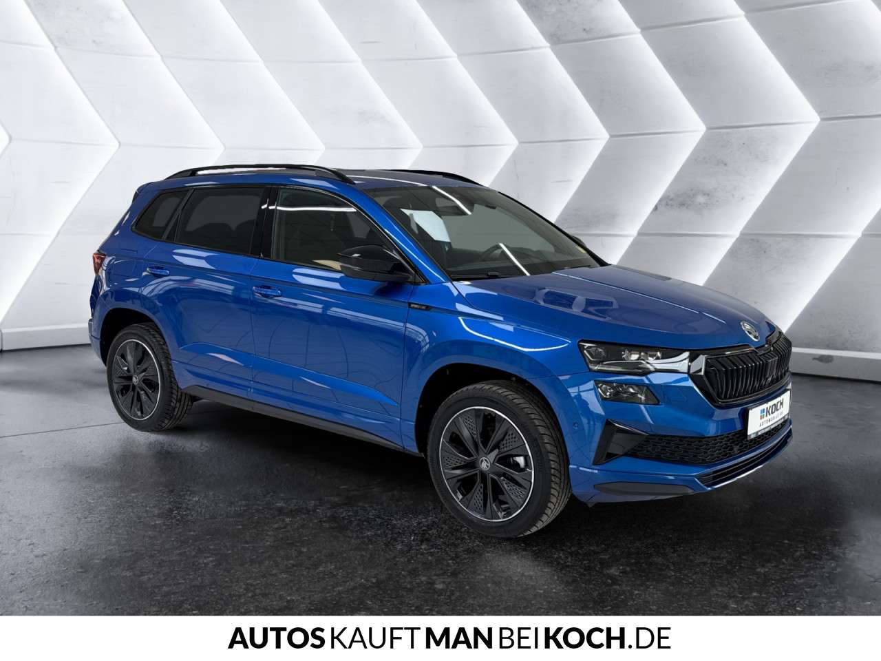 Fahrzeugbild eines Skoda Karoq