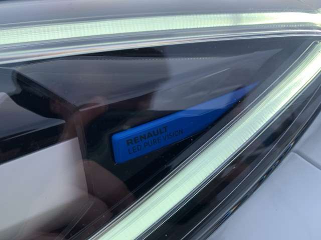 Fahrzeugbild eines Renault ZOE