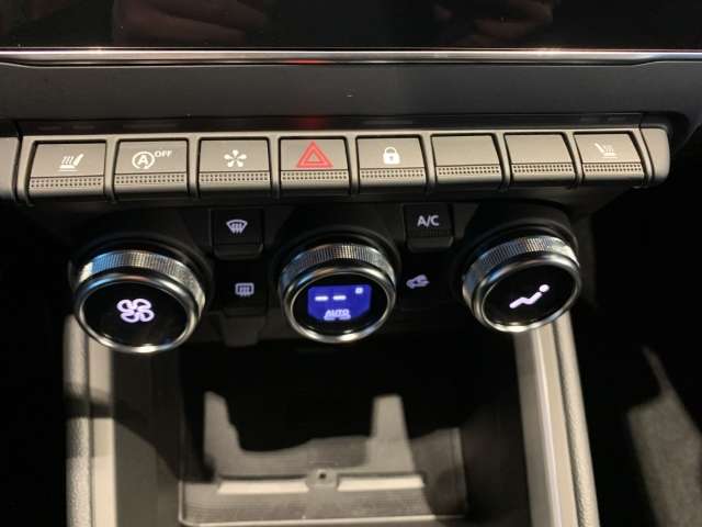 Fahrzeugbild eines Renault Clio