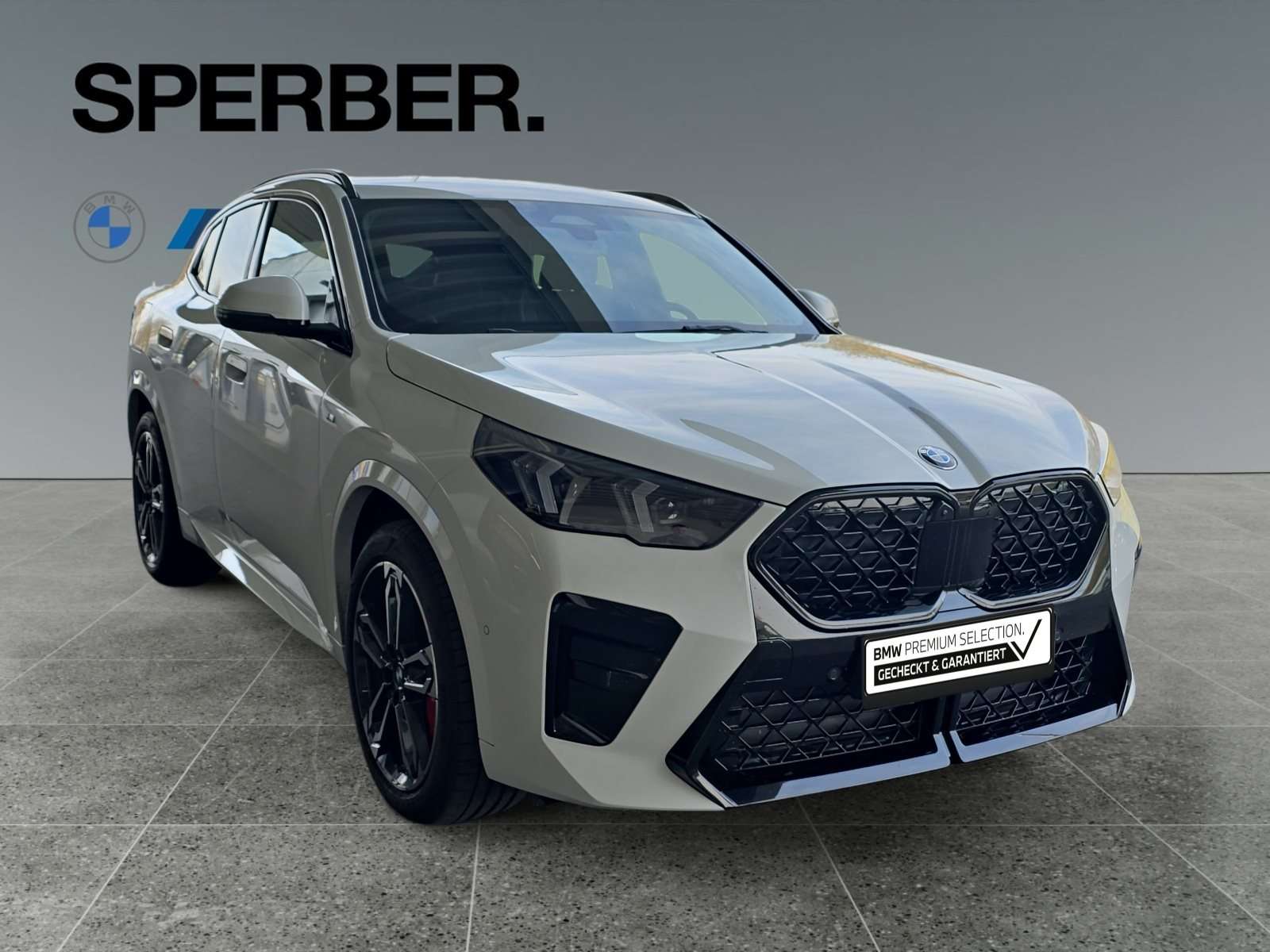 Fahrzeugbild eines BMW X2