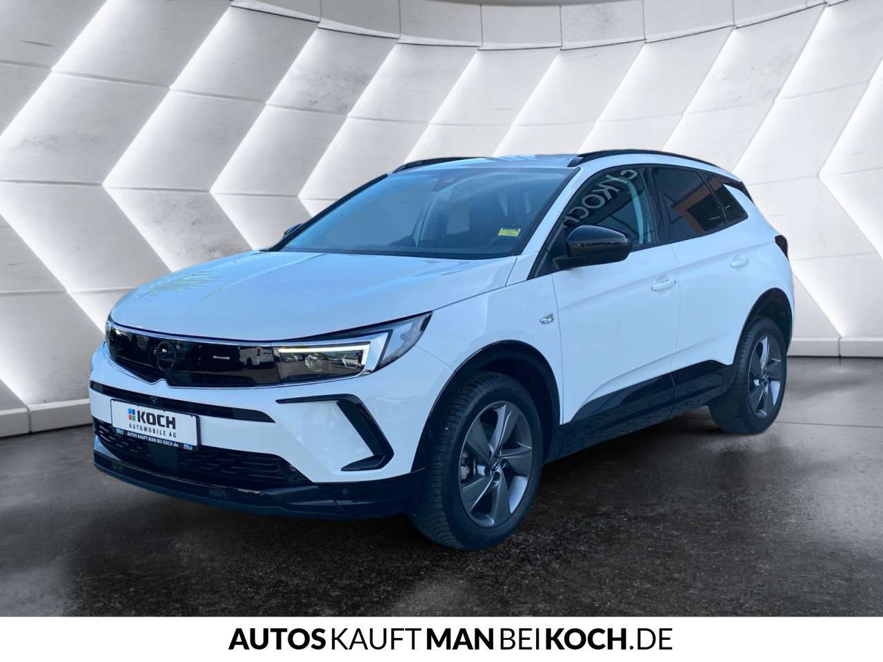 Fahrzeugbild eines Opel Grandland X