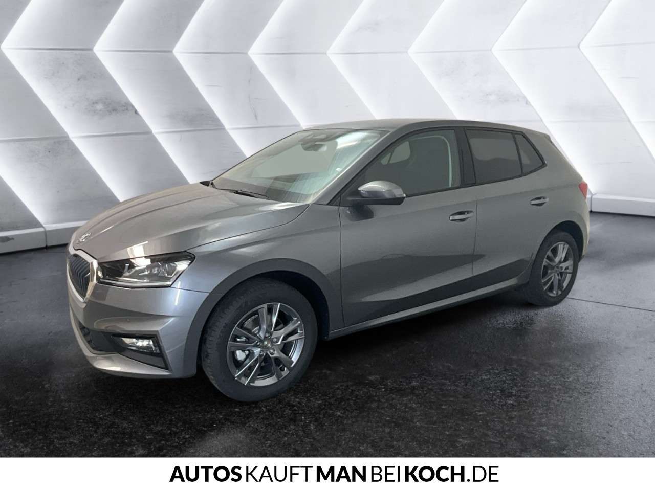 Fahrzeugbild eines Skoda Fabia