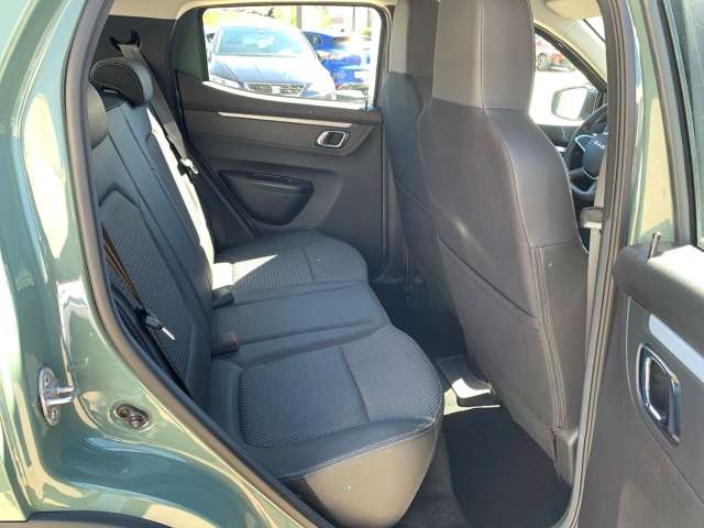 Fahrzeugbild eines Dacia Spring