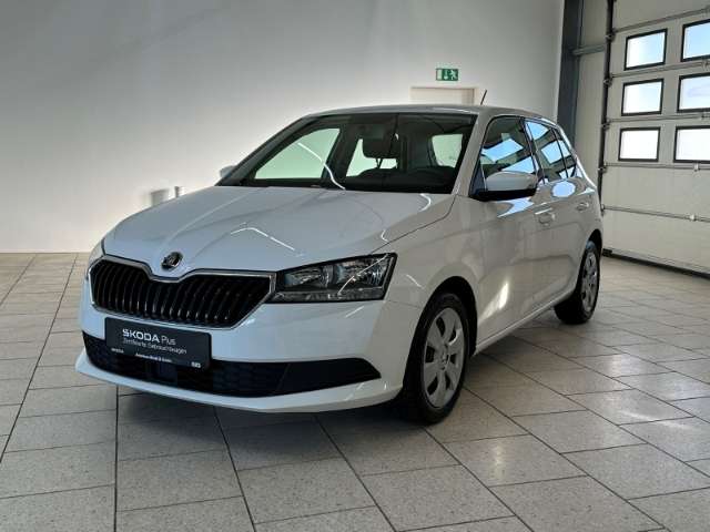 Fahrzeugbild eines Skoda Fabia
