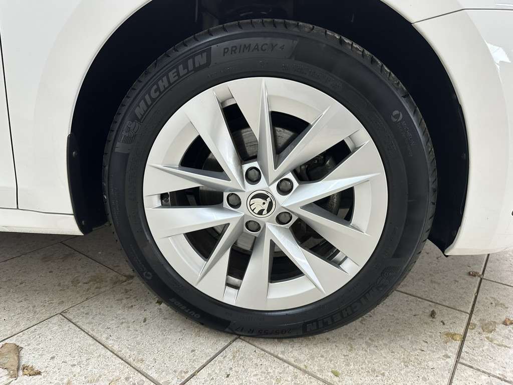 Fahrzeugbild eines Skoda Octavia
