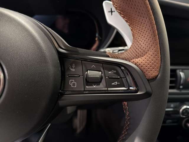 Fahrzeugbild eines Alfa Romeo Giulia