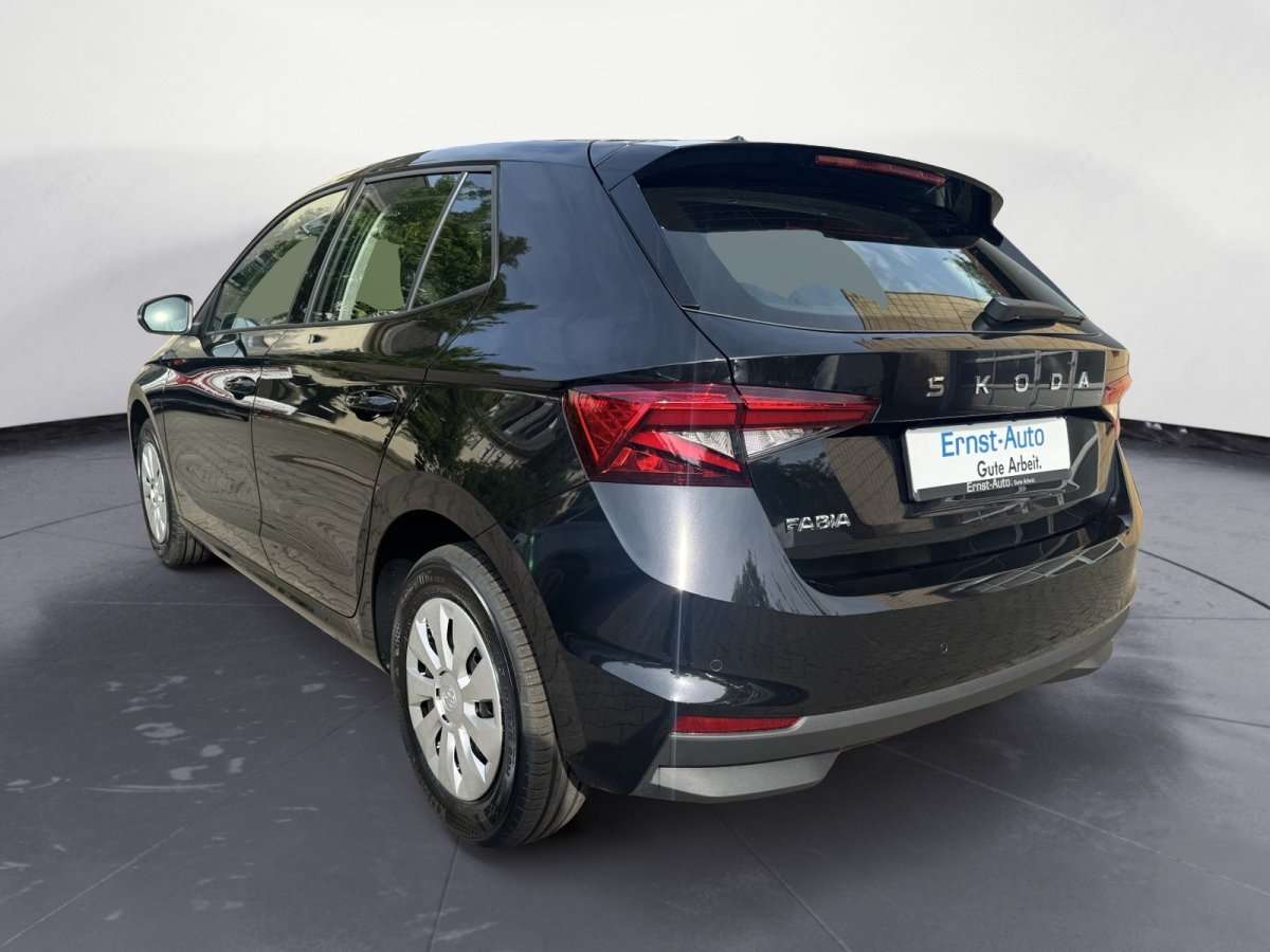 Fahrzeugbild eines Skoda Fabia