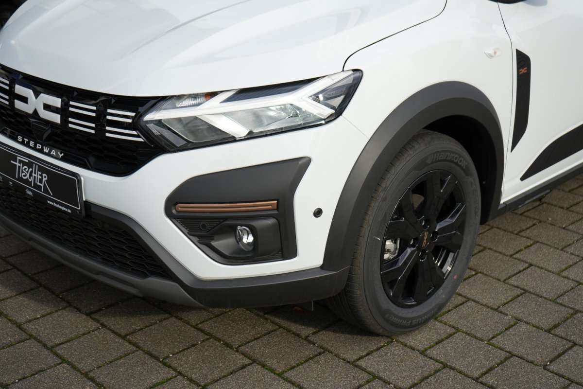 Fahrzeugbild eines Dacia Sandero