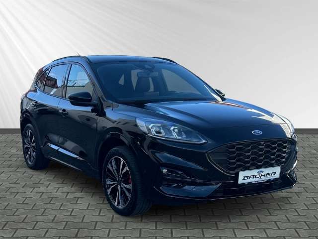Fahrzeugbild eines Ford Kuga