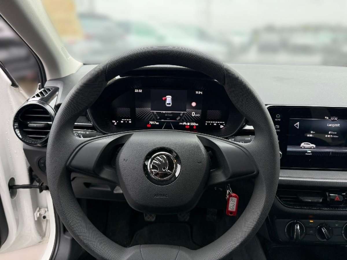 Fahrzeugbild eines Skoda Fabia