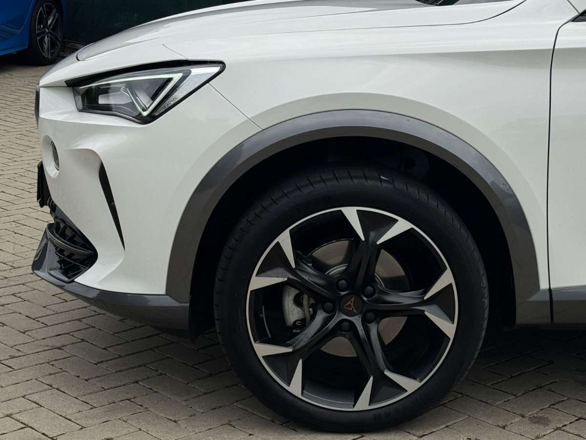 Fahrzeugbild eines CUPRA Formentor