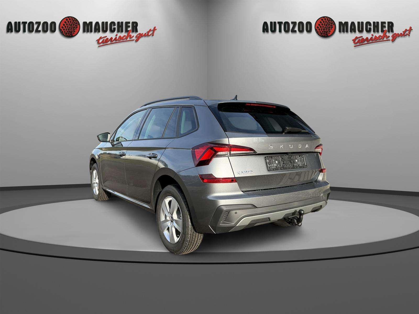 Fahrzeugbild eines Skoda Kamiq