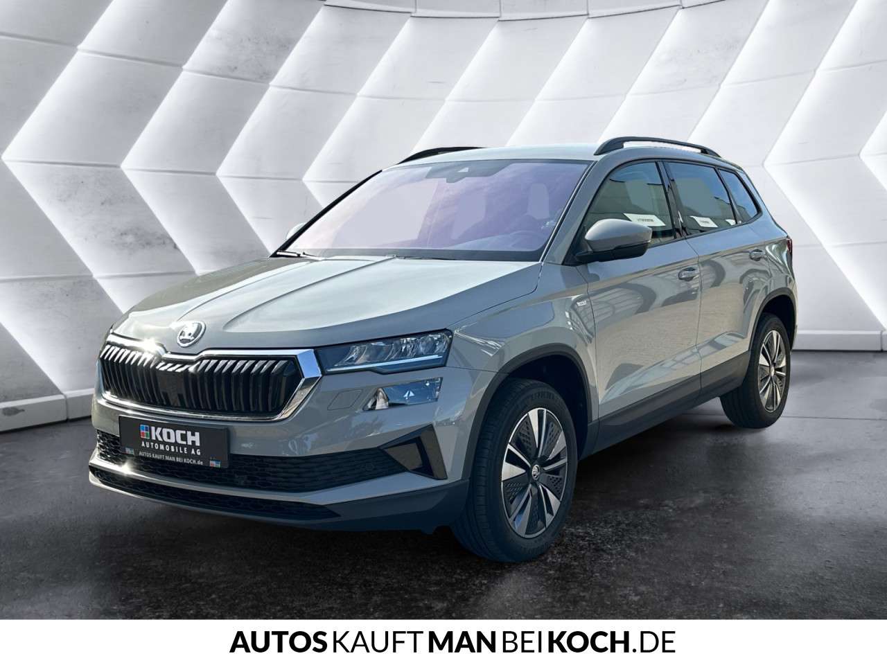 Fahrzeugbild eines Skoda Karoq