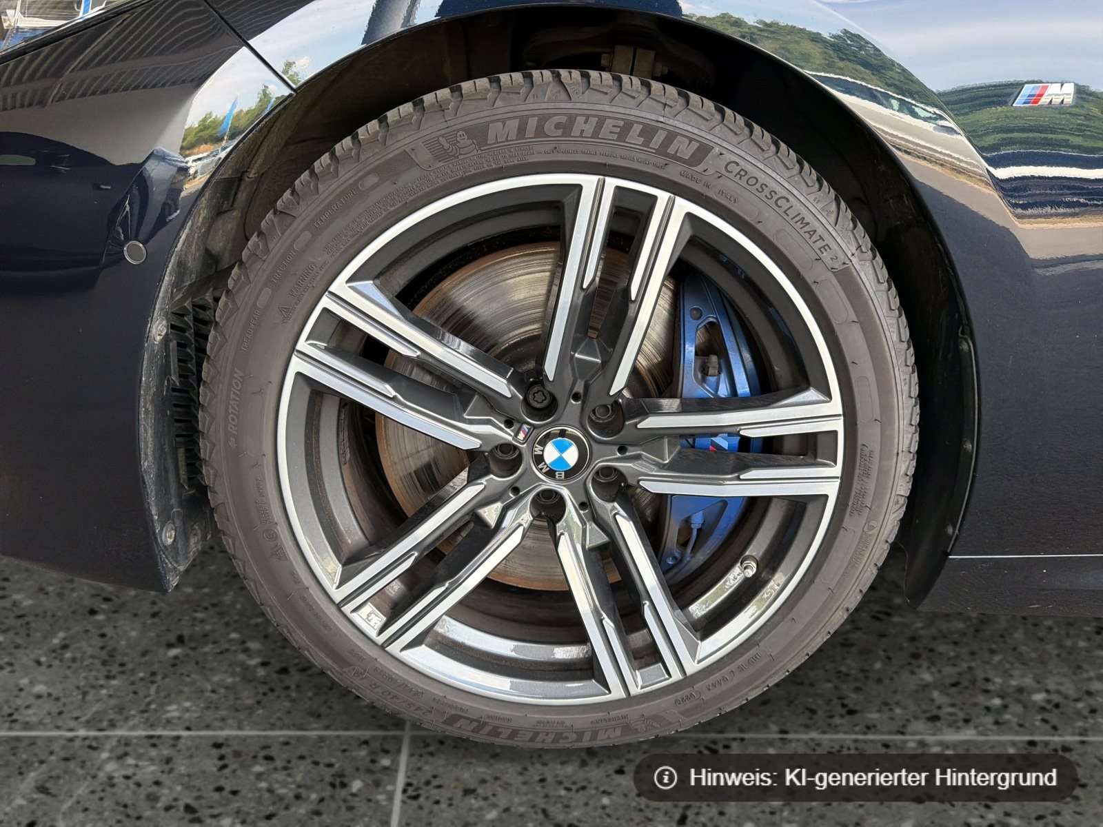 Fahrzeugbild eines BMW 8er-Reihe