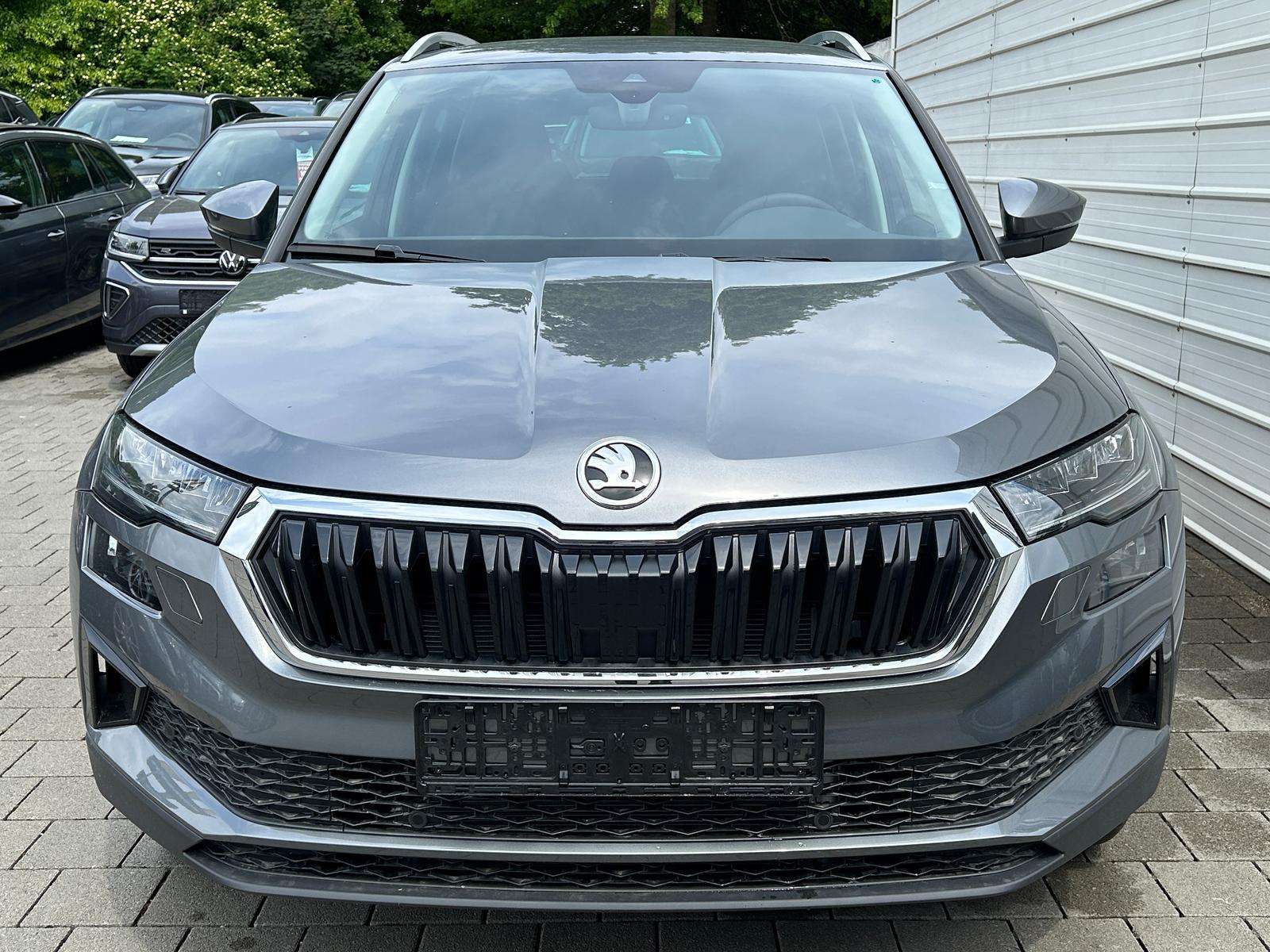 Fahrzeugbild eines Skoda Karoq