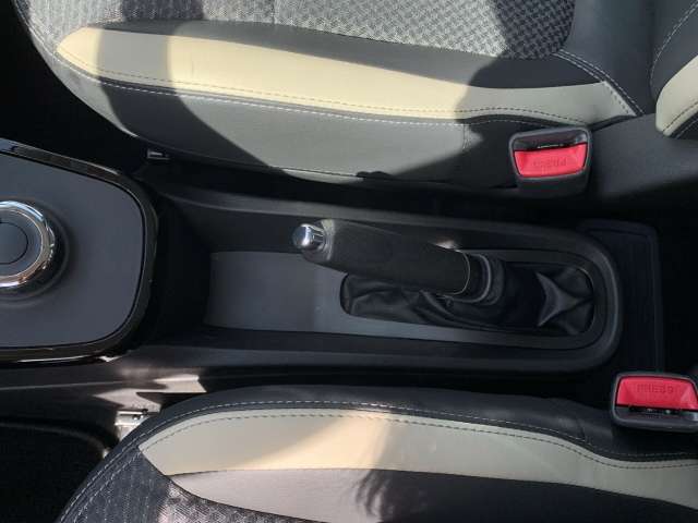Fahrzeugbild eines Dacia Spring