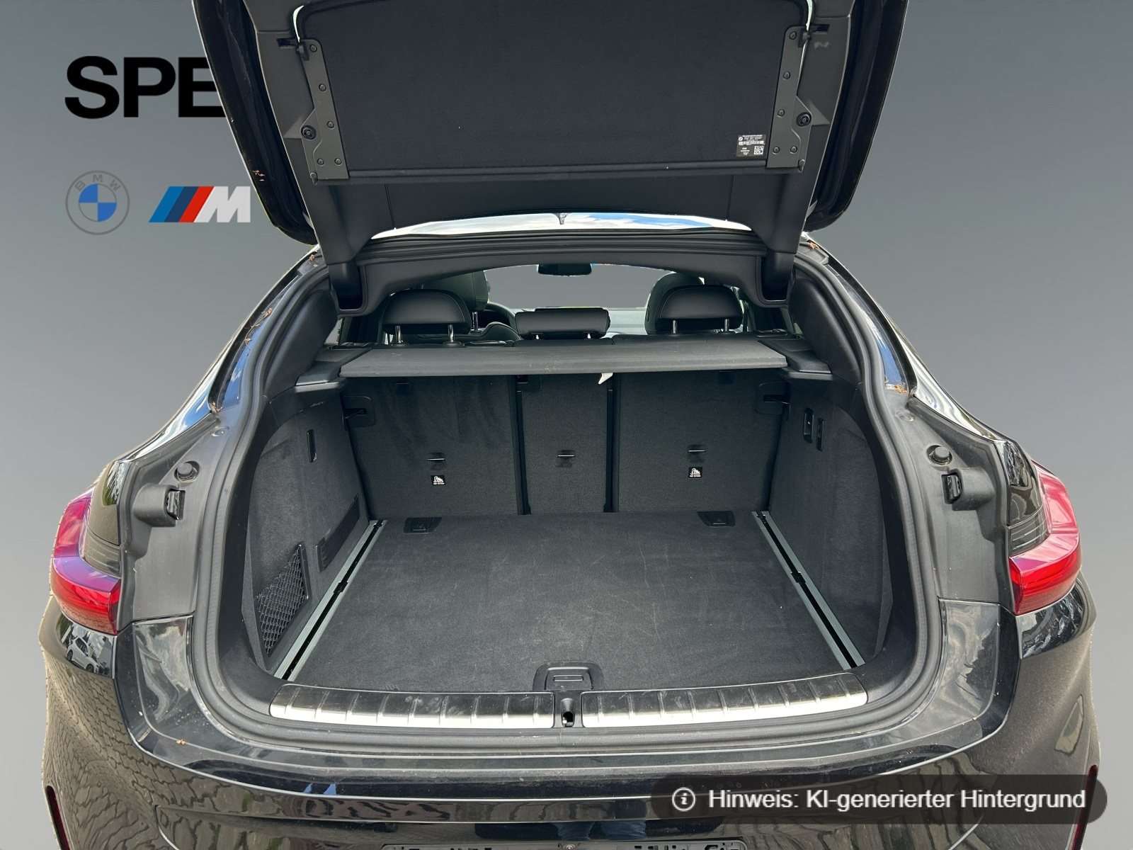 Fahrzeugbild eines BMW X4