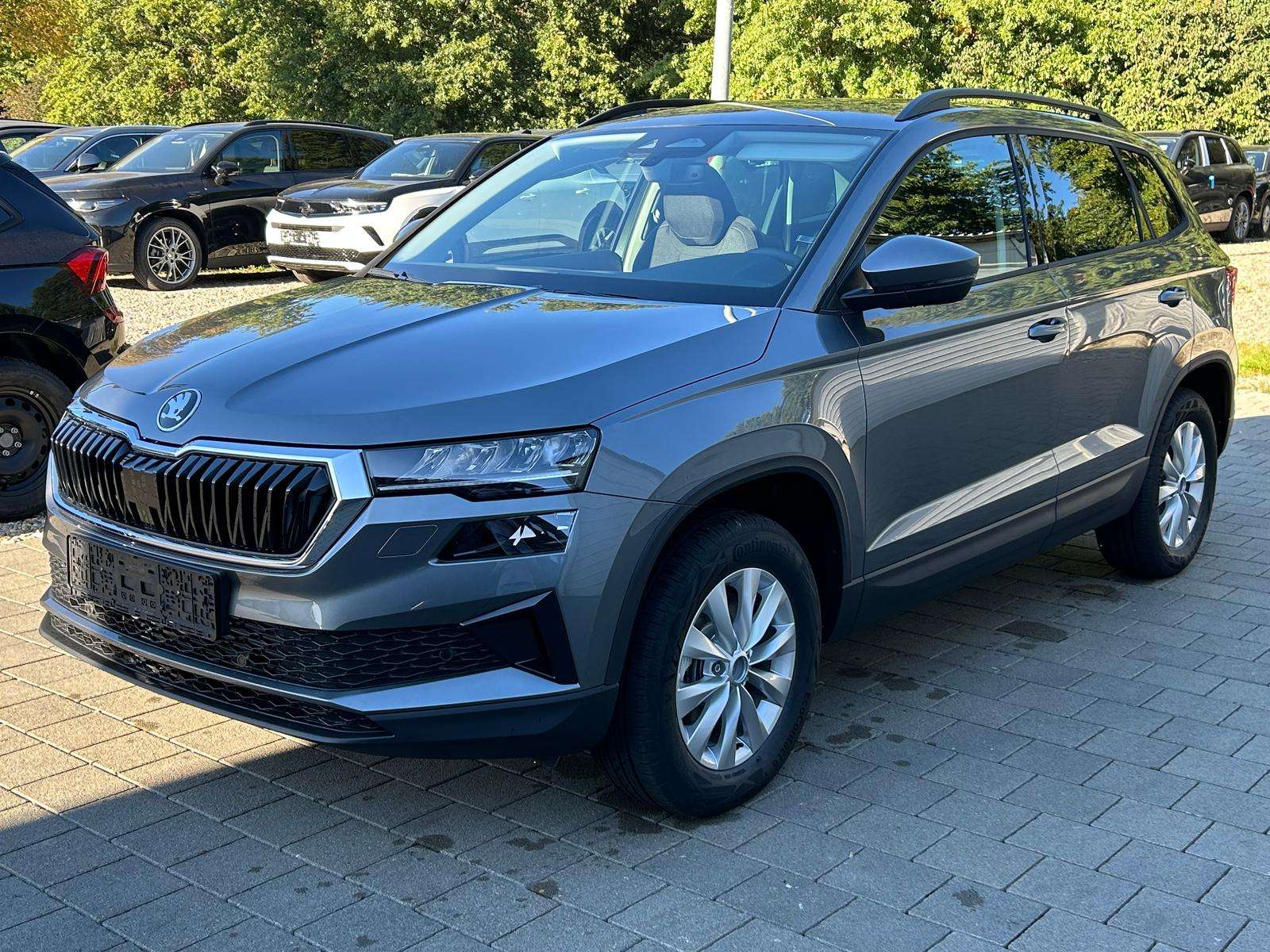Fahrzeugbild eines Skoda Karoq