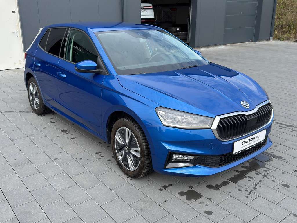 Fahrzeugbild eines Skoda Fabia