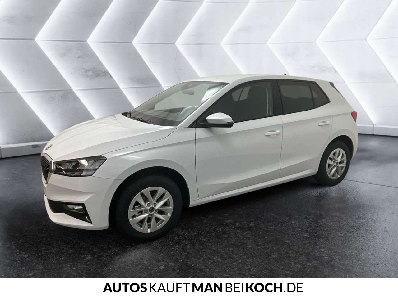 Fahrzeugbild eines Skoda Fabia