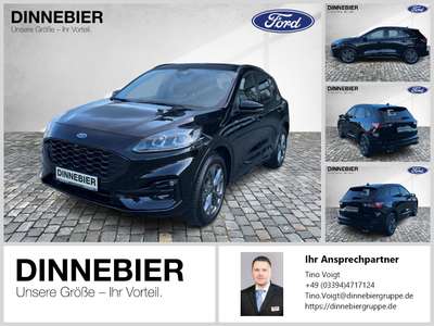 Bild Ford Kuga