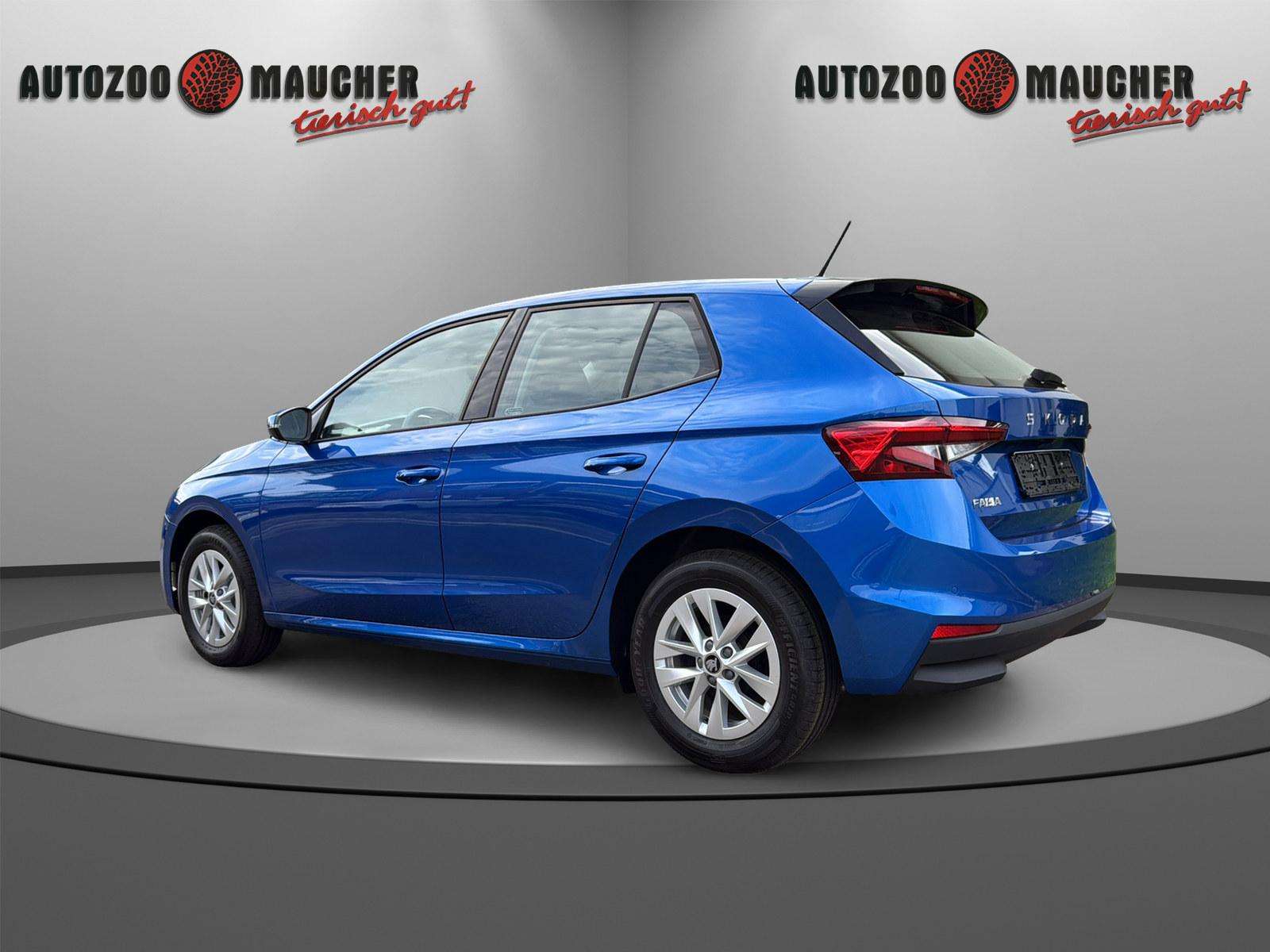 Fahrzeugbild eines Skoda Fabia