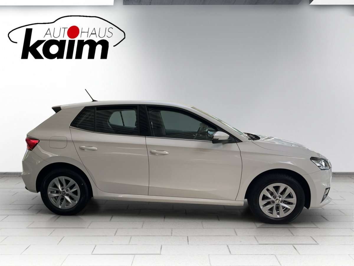 Fahrzeugbild eines Skoda Fabia