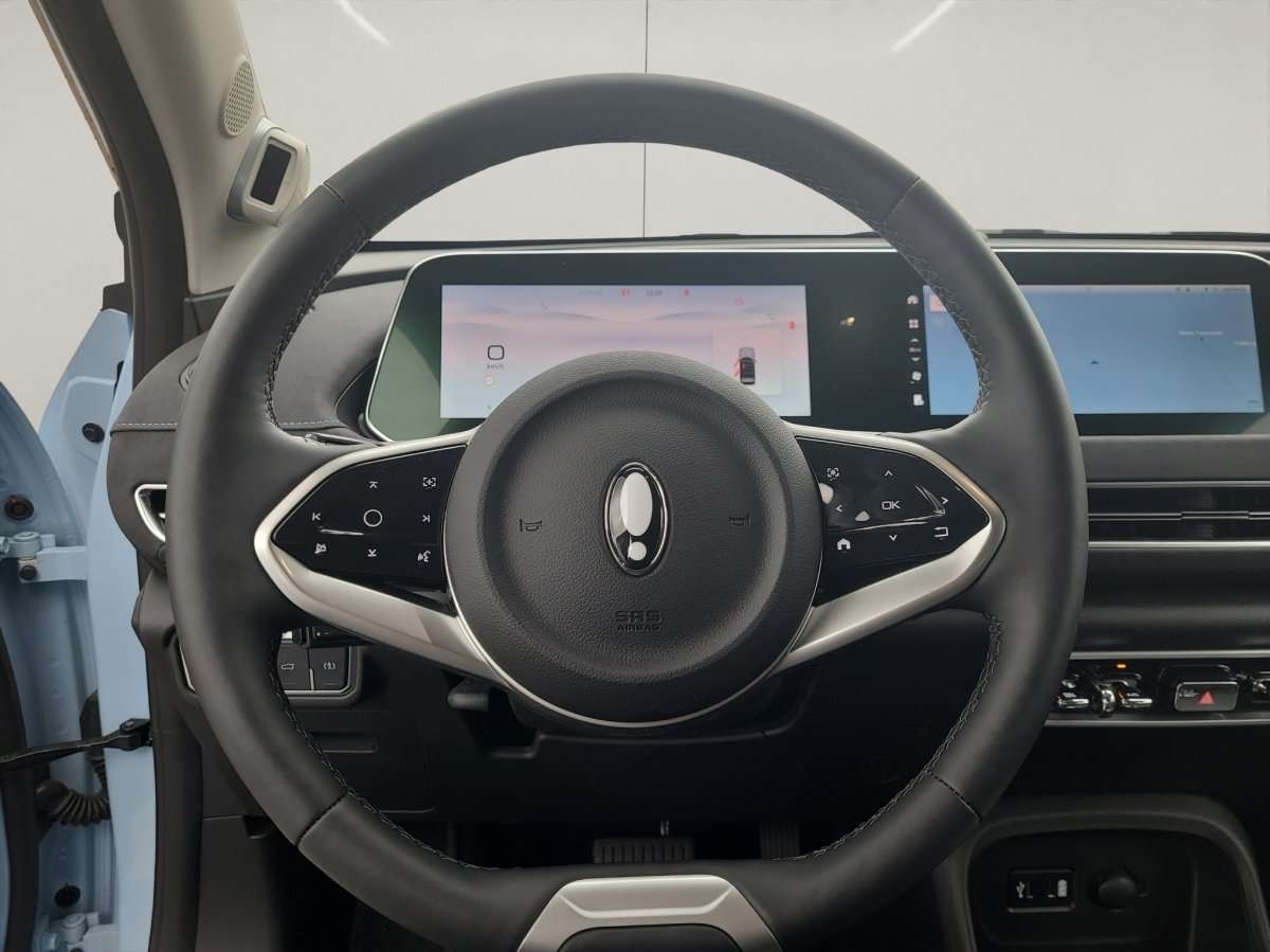 Fahrzeugbild eines GWM Ora 03