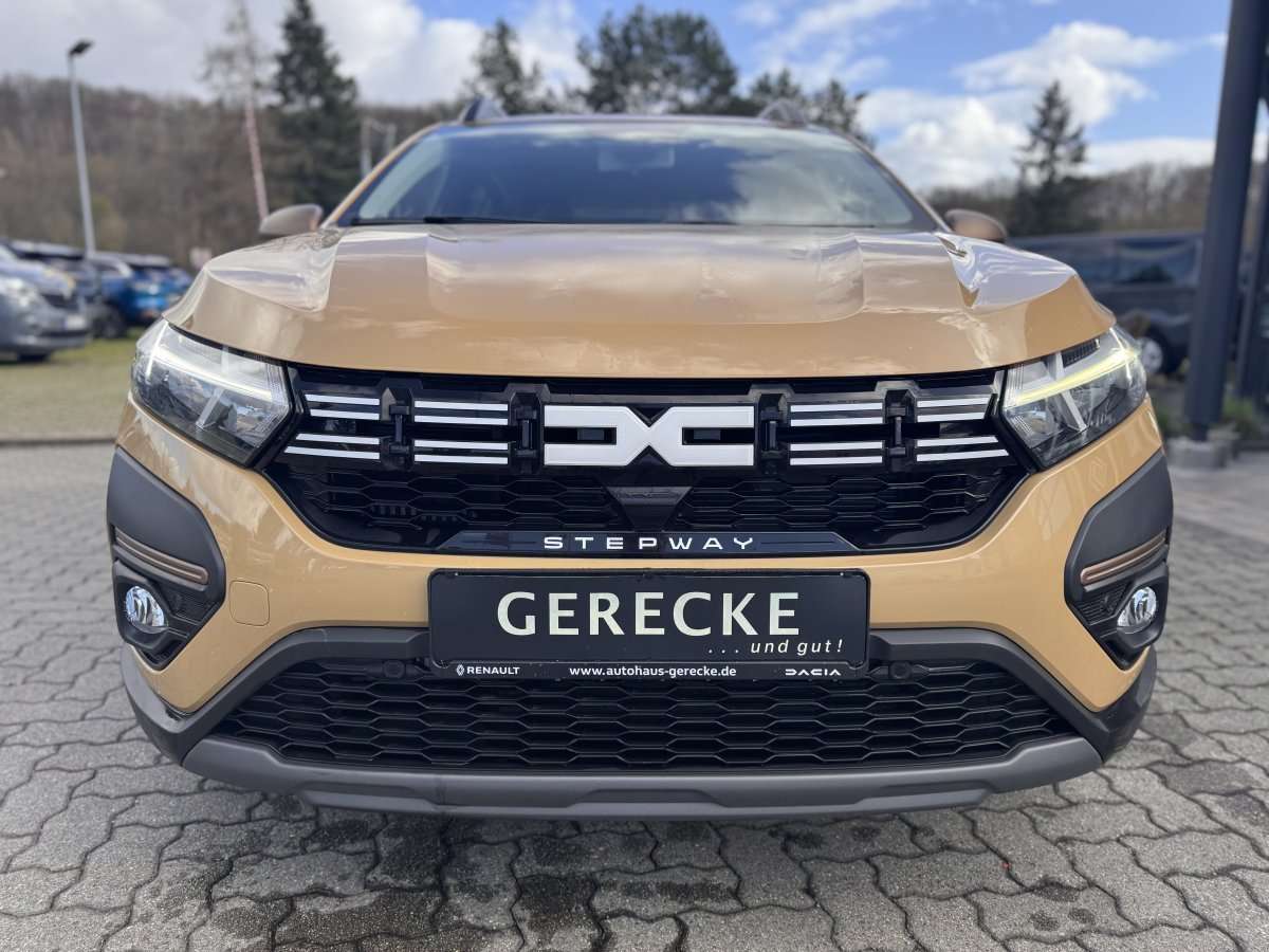 Fahrzeugbild eines Dacia Sandero